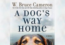 A Dog's Way Home movie from the writer and producer of A Dog's Purpose