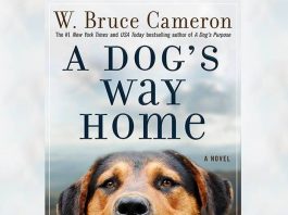 A Dog's Way Home movie from the writer and producer of A Dog's Purpose