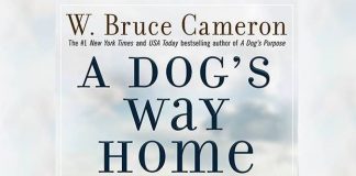 A Dog's Way Home movie from the writer and producer of A Dog's Purpose