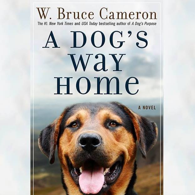A Dog's Way Home movie from the writer and producer of A Dog's Purpose